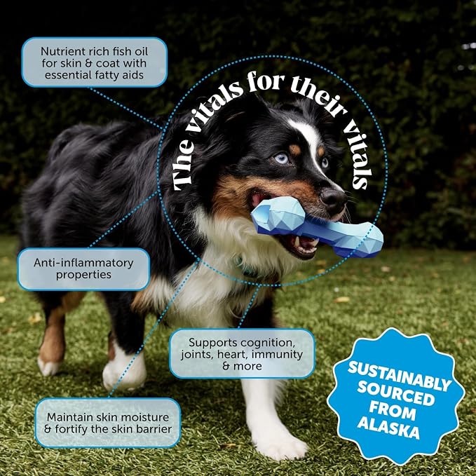 Omega 3 Fish Oil Supplement for Dogs & Cats, Wild Caught Omega 3 Fish Oil for - Image 2