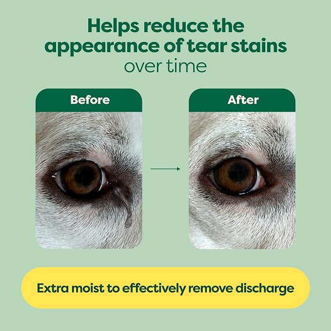 Earth Rated Vet-Developed Pet Eye Wipes, Hypoallergenic Cleaner - Image 4