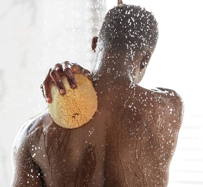 Real Sea Sponge for Men - Image 7
