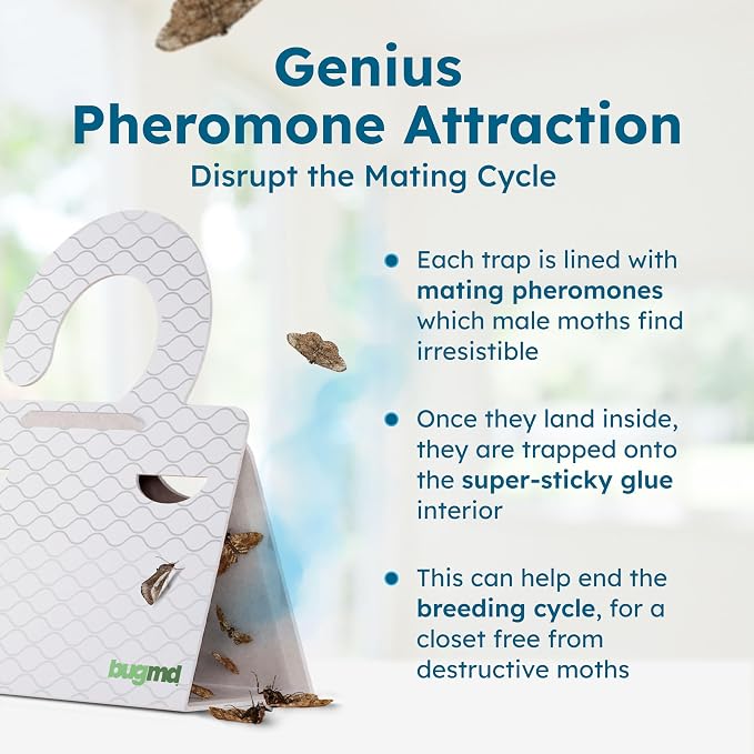 BugMD Clothes & Pantry Moth Traps – Sticky Glue Pheromone-Based Repellent - Image 7