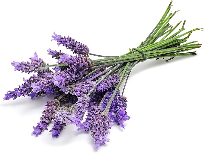 OPO Lavender Water Hydrosol - Image 3