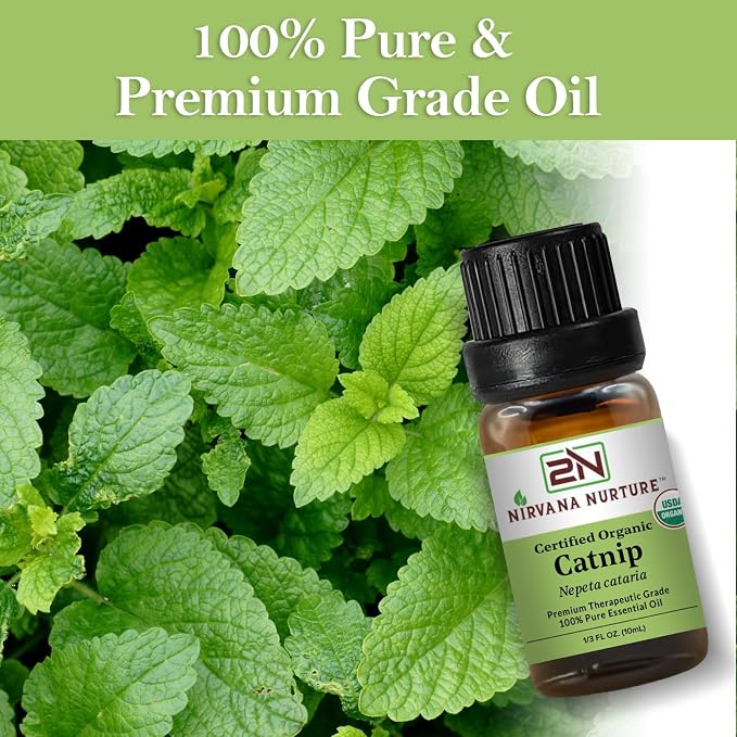Catnip Essential Oil USDA Certified Organic, 100% Pure Natural Premium Grade - Image 6