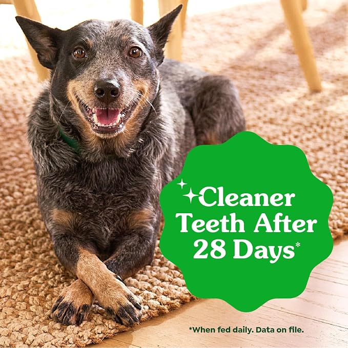 Greenies Veterinarian-Recommended Natural Dental Dog Treats Teenie Size - Image 4