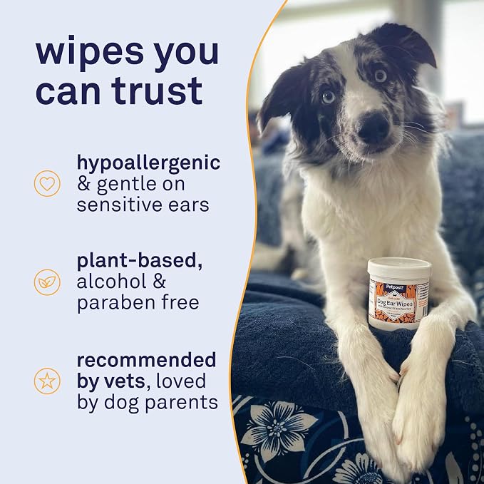 Petpost | Dog Ear Cleaner Wipes - Image 4