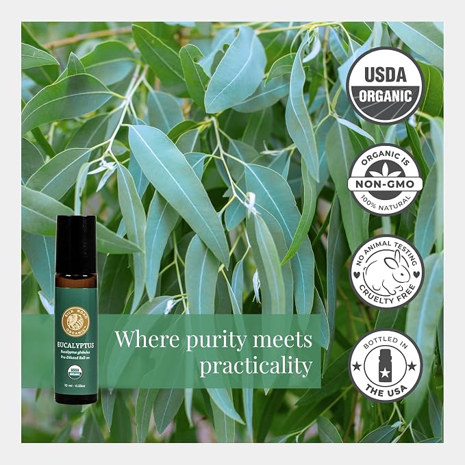 Silk Road Organic Eucalyptus Essential Oil Roll On, USDA Certified - Image 4