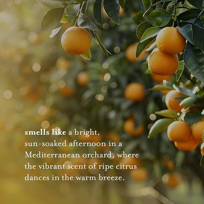 A LA MAISON French Liquid Hand Soap, Citrus Blossom - Image 4