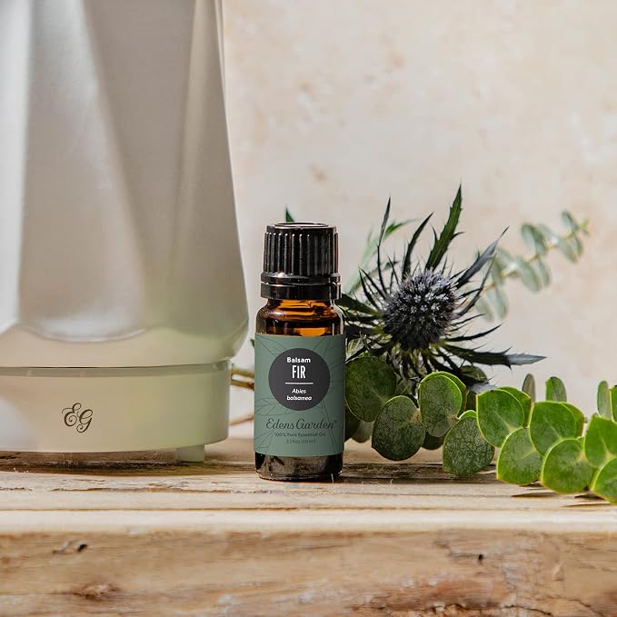 Edens Garden Fir- Balsam Essential Oil, 100% Pure Therapeutic Grade 30 ml - Image 2