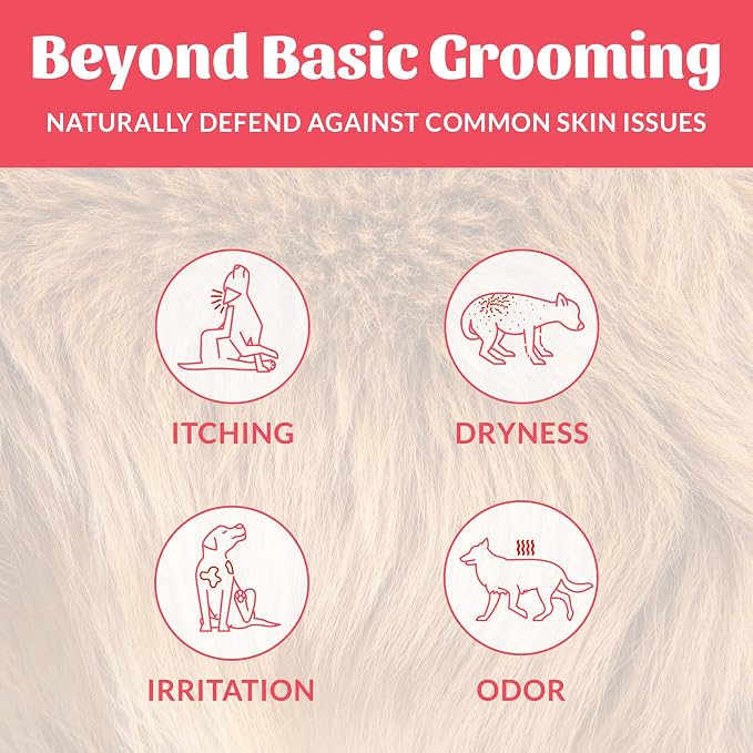 Skout's Honor Probiotic Dog Shampoo & Conditioner - Image 3
