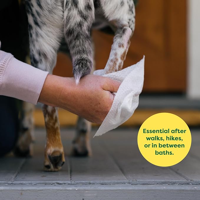 Earth Rated Dog Wipes, Hypoallergenic, Cleaning and Hydrating, - Image 3