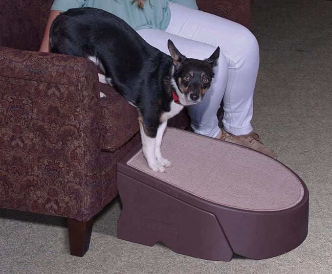 Pet Gear Stramp Stair and Ramp Combination - Image 3