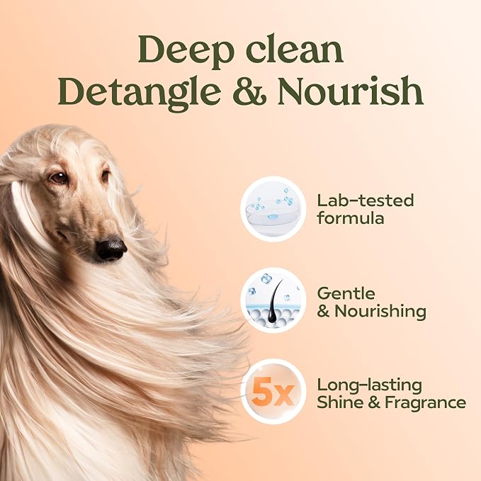 PAWFUME Deshedding Dog Shampoo and Conditioner, Show Dog, Deep-Cleaning - Image 5