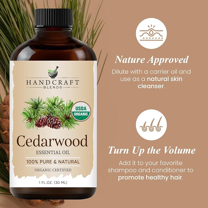 Handcraft Blends Organic Cedarwood Essential Oil – 1 Fl Oz – 100% Pure and - Image 4