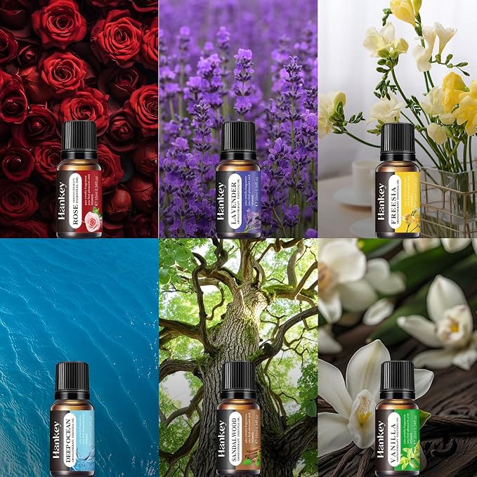 6 Pcs Fragrance Essential Oils Set - Image 5