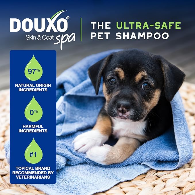 DOUXO® Skin & Coat SPA – Ultra-Safe Combo - Image 5