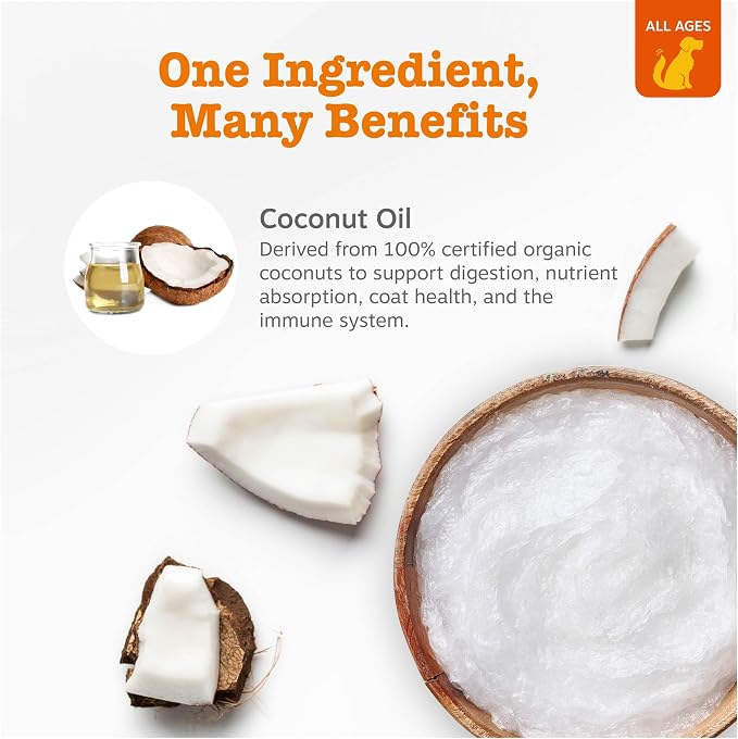 Coconut Oil for Dogs - Image 2