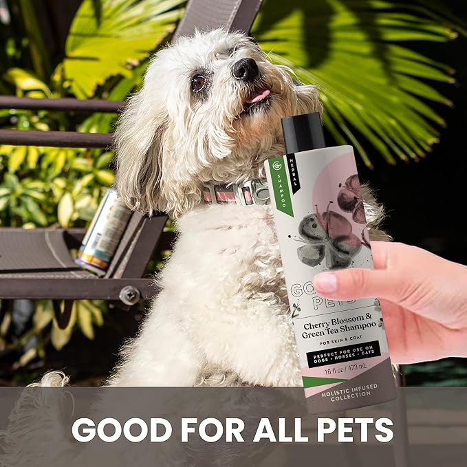 Holistic Natural Derived Cherry Blossom & Green Tea Pet Shampoo: Veterinarian - Image 6
