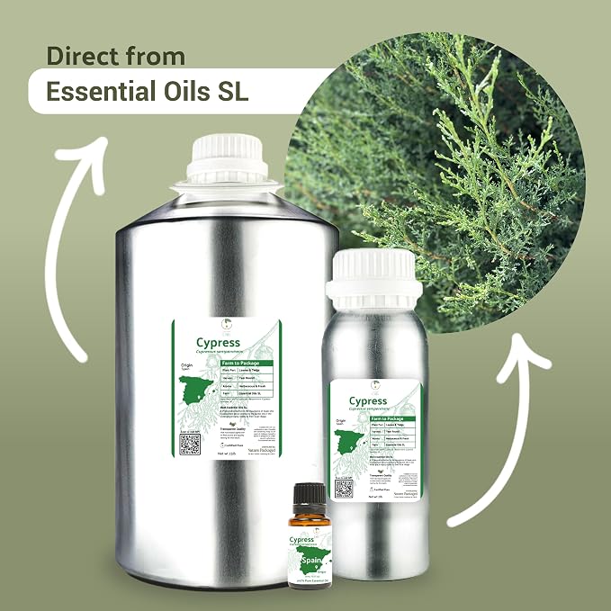 Cypress Essential Oil - Image 3