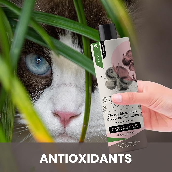 Holistic Natural Derived Cherry Blossom & Green Tea Pet Shampoo: Veterinarian - Image 4