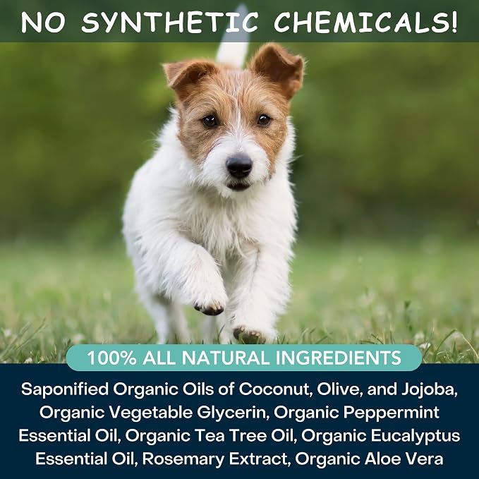 4Legger Organic Dog Shampoo, Cooling Peppermint Tea Tree Dog Shampoo - Image 4