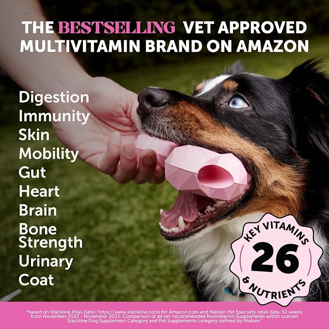 Multivitamin Dog Supplement, Glucosamine chondroitin - Image 2
