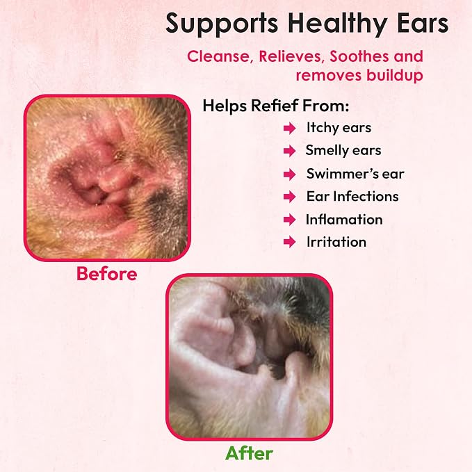 Truseb Advanced Topical Dog Ear Wash - Image 5