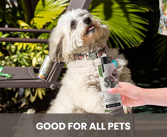 Holistic Natural Derived Cherry Blossom & Green Tea Pet Shampoo: Veterinarian - Image 8
