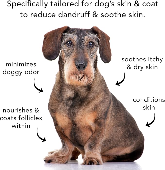 Pride and Groom The Sensitive One | Dog Grooming Shampoo - Image 7
