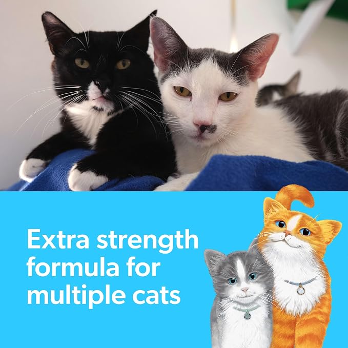 Fresh Step Advanced Multi Cat Clumping Litter - Image 3