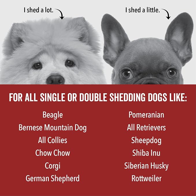 Pride and Groom DogDays Deshedding Dog Shampoo | Fast-Acting Coat Softener & - Image 7