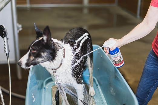 Vetericyn FoamCare Medicated Dog Shampoo - Image 2