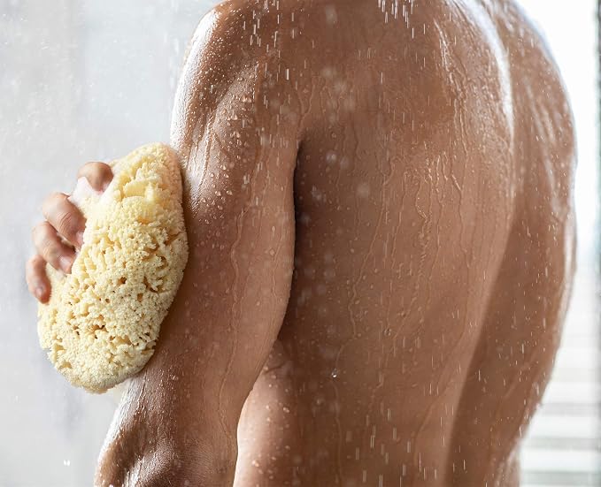 Real Sea Sponge for Men - Image 4