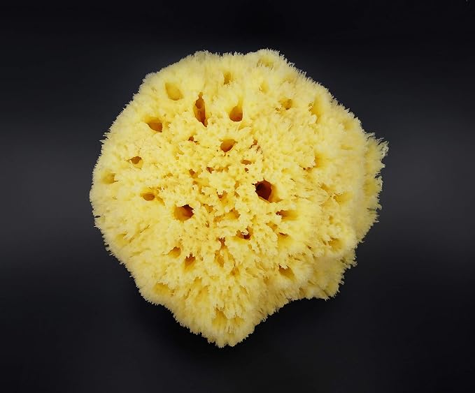 Real Sea Sponge for Men - Image 9