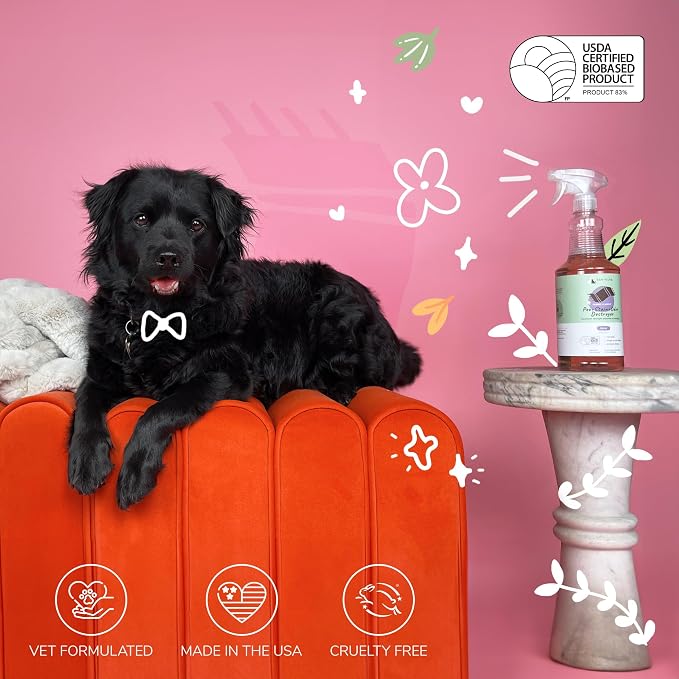 kin+kind Pet Odor Eliminator for Home - Image 5
