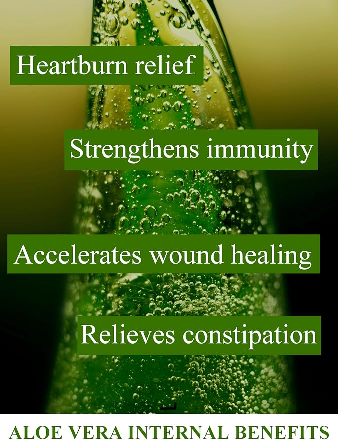 Aloe Vera Gel 100% Pure Natural Organic, no additives, thickeners or water - Image 4