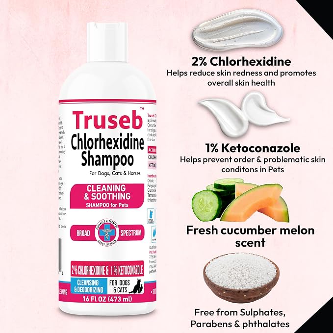Truseb Topical Ketoconazole and Chlorhexidine Shampoo - Image 4
