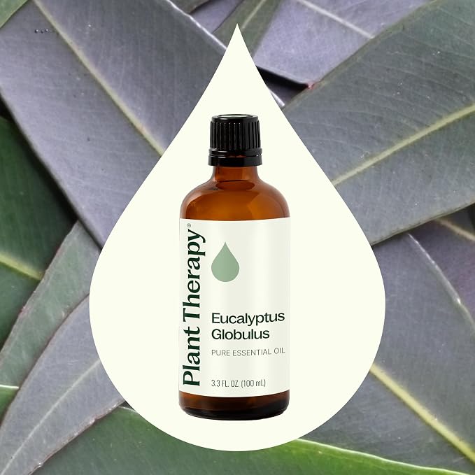 Plant Therapy Eucalyptus Globulus Essential Oil 100 mL - Image 3