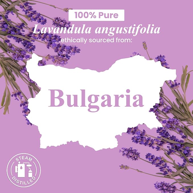 Handcraft Blends Lavender Angustifolia Essential Oil Gift Set – Huge 4 Fl Oz – - Image 7