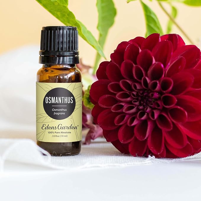Edens Garden Osmanthus Essential Oil- 100% Pure Premium Grade, Therapeutic - Image 2