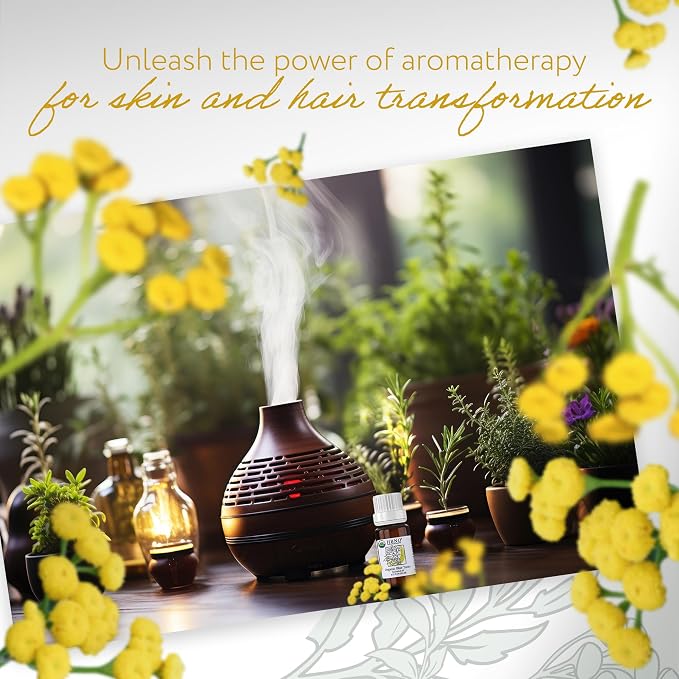 HBNO USDA Certified Organic Blue Tansy Essential Oil - Image 6