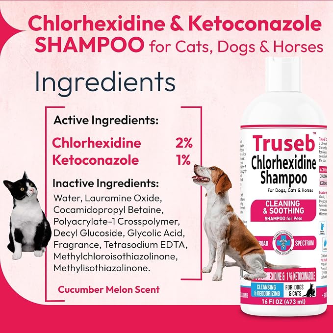 Truseb Topical Ketoconazole and Chlorhexidine Shampoo - Image 2