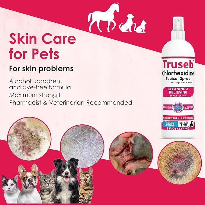 Truseb Topical Ketoconazole and Chlorhexidine Spray - Image 3