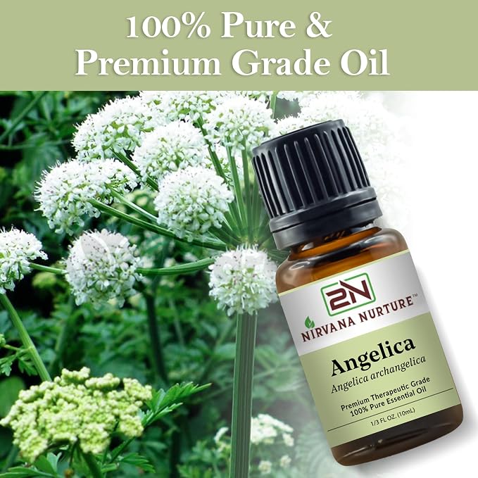 Angelica Essential Oil 100% Pure Premium Therapeutic Grade, Undiluted - Image 6