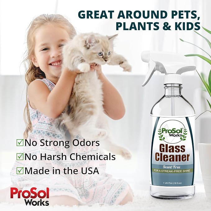 Glass Cleaner 16 oz - Image 6