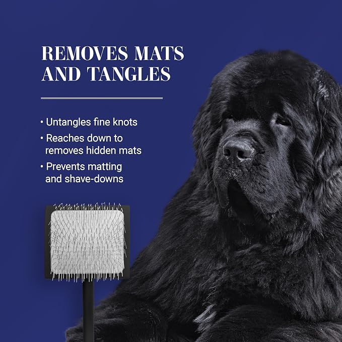 Chris Christensen Baby K Dog Slicker Brush, Groom Like a Professional, Fluff - Image 7