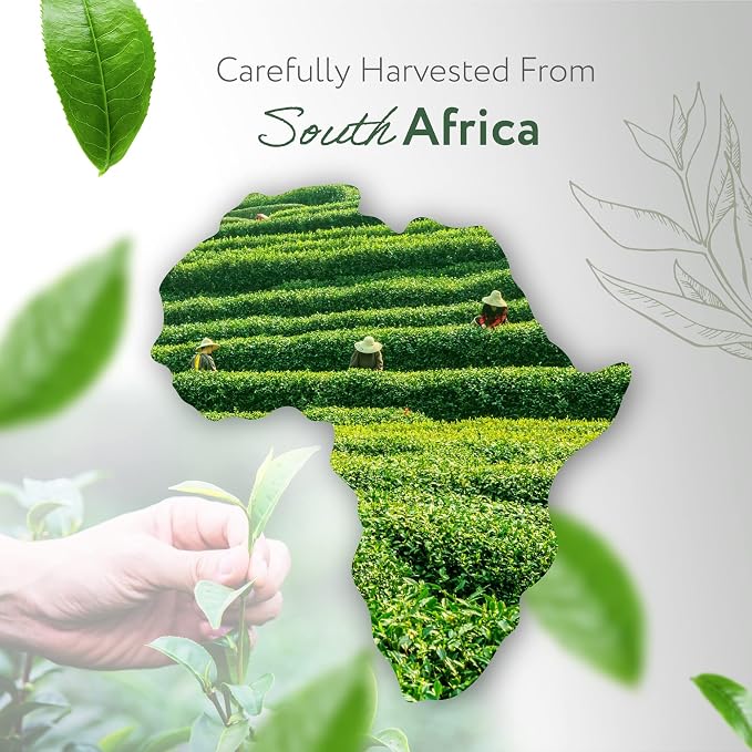 HBNO California Bottled Organic Tea Tree Oil - Image 3