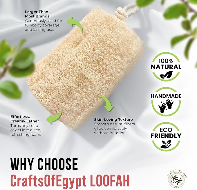 CraftsOfEgypt Natural Loofah Sponge – Egyptian Luffa Body Scrubber Pack of 1 - Image 3
