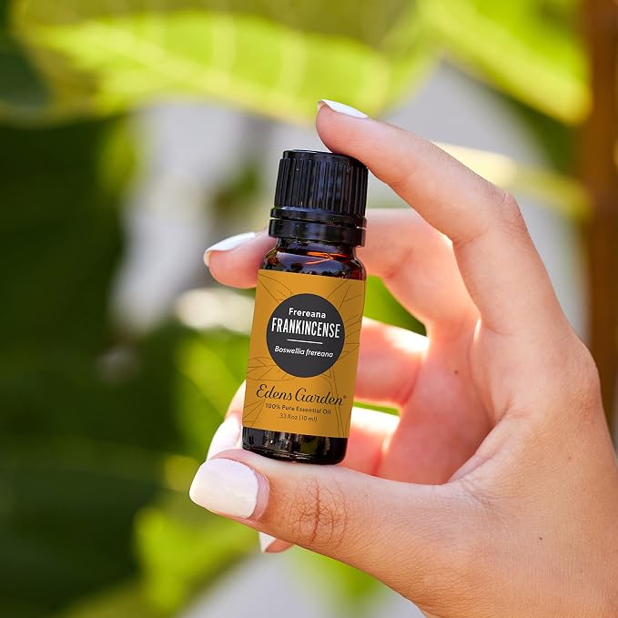 Edens Garden Frankincense- Frereana Essential Oil- 100% Pure Premium Grade - Image 2