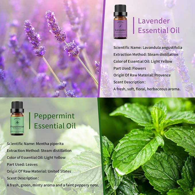 yethious Lavender Peppermint Oil Set Lavender Aromatherapy Oils - Image 2