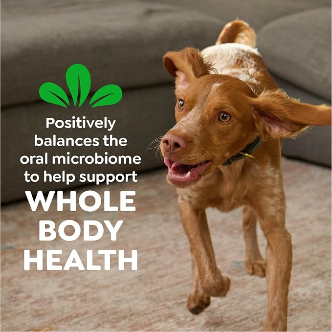 Greenies Veterinarian-Recommended Natural Dental Dog Treats Teenie Size - Image 8