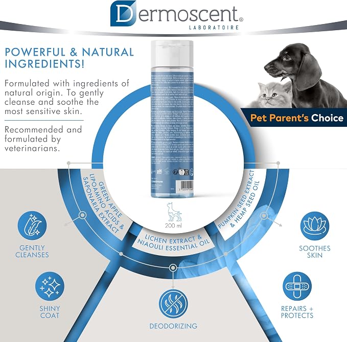 Dermoscent EFA Physio Shampoo for Dogs & Cats - Image 4